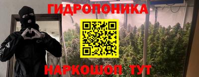 винт Гусев