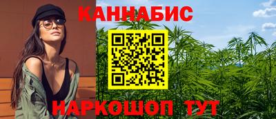 шишки Гагарин