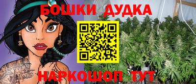 apvp Гай