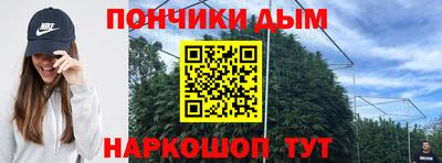 шишки Гагарин