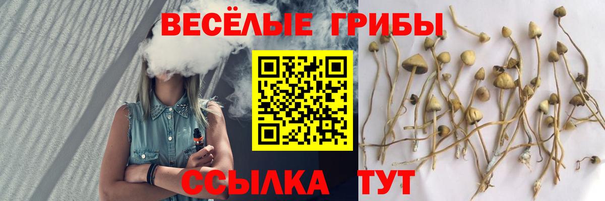 Псилоцибиновые грибы Psilocybine cubensis  Вход с VPN  Мичуринск 